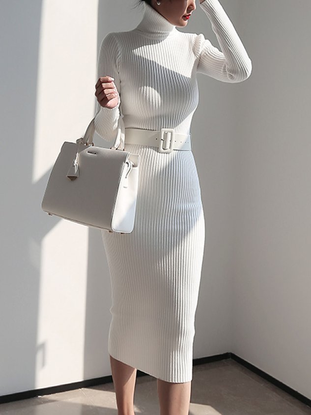 Elegant Turtleneck Plain Simple Sweater Dress