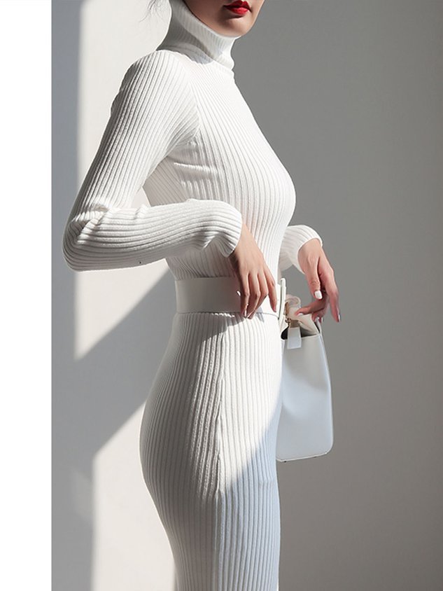 Elegant Turtleneck Plain Simple Sweater Dress
